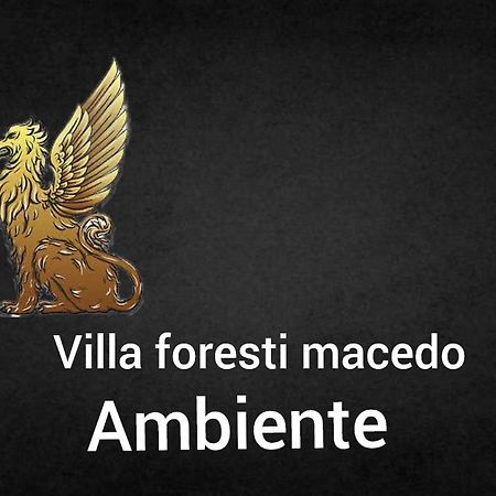 Ambiente Foresti Macedo Gramado Eksteriør bilde